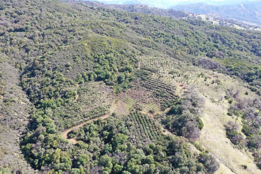 32400 Pine Mountain Road Cloverdale, CA 95425