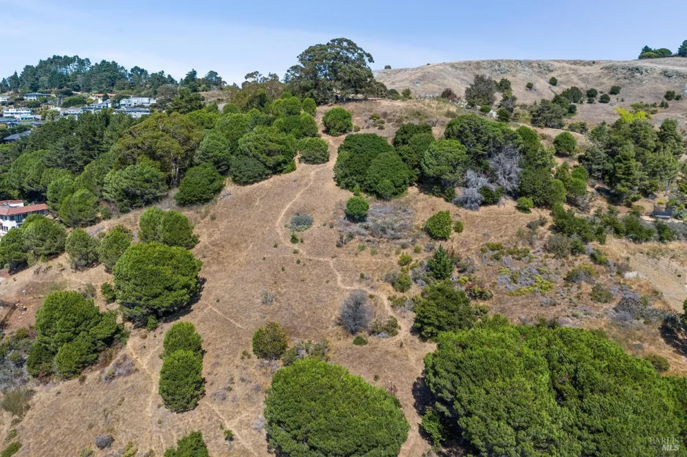 138 Rock Hill Drive Tiburon, CA 94920