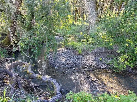 Muir Mill Road