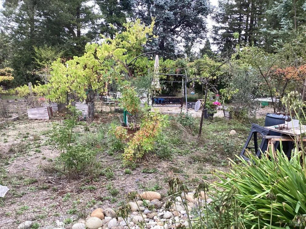 317 Windflower Court Windsor, CA 95492