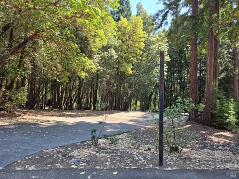 24521 Lilac Drive