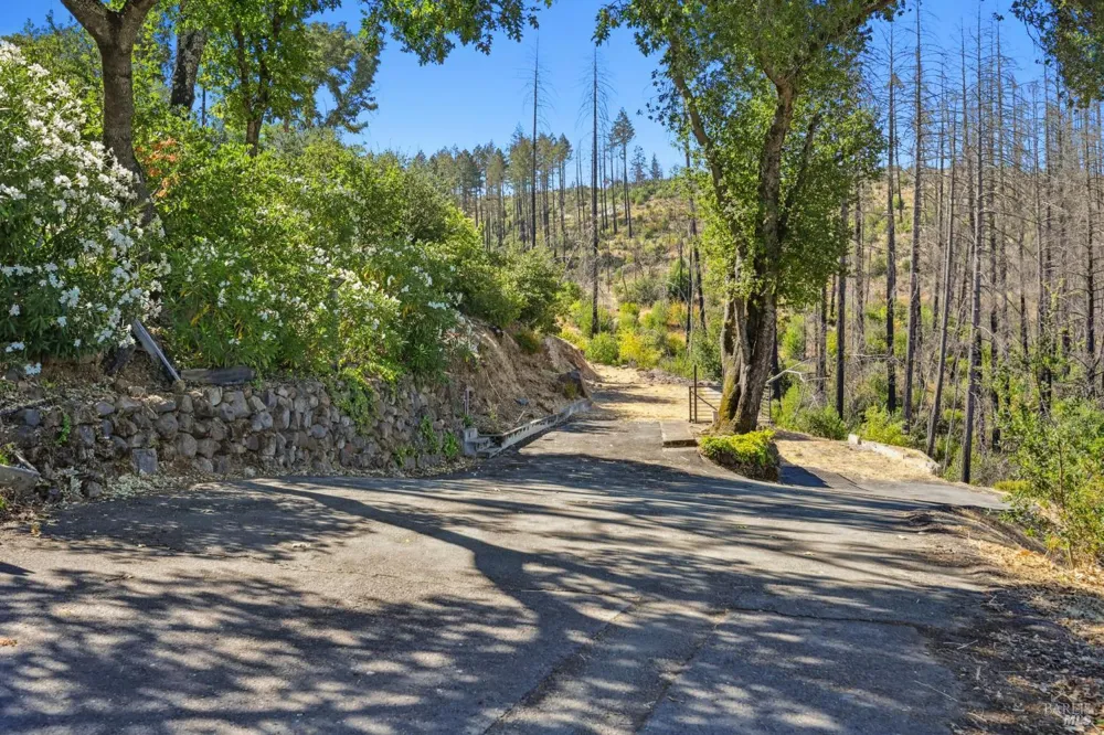 509 Canon Park Drive St. Helena, CA 94574