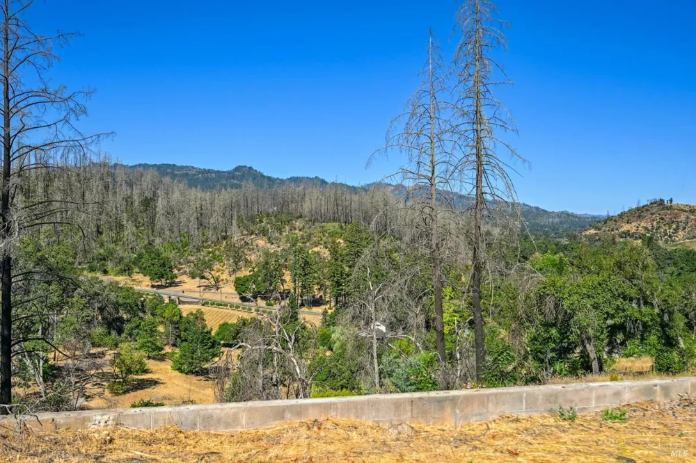 509 Canon Park Drive St. Helena, CA 94574