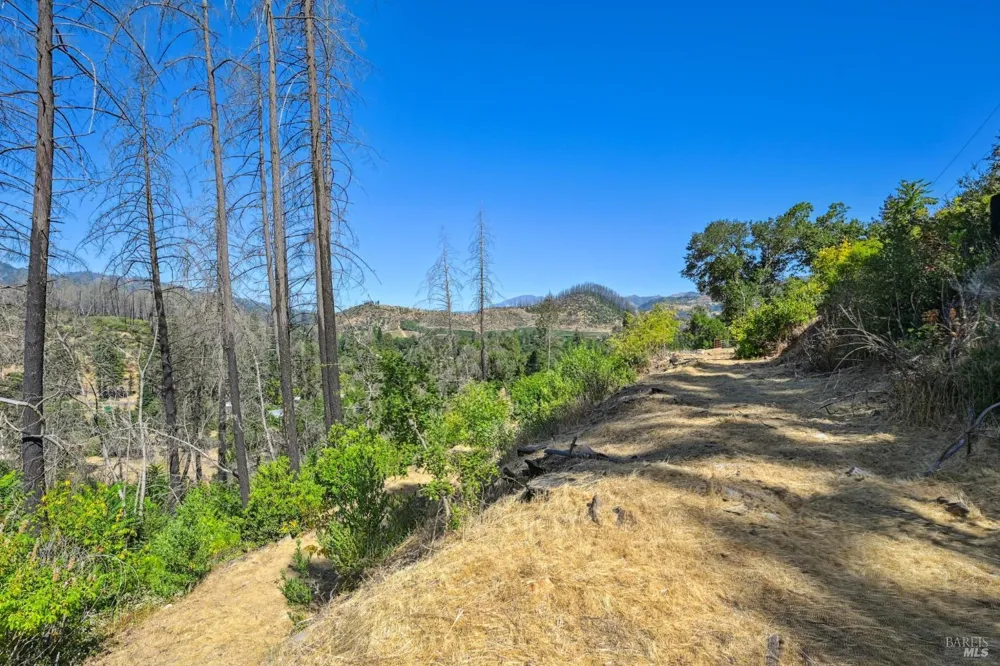 509 Canon Park Drive St. Helena, CA 94574