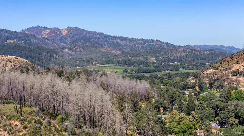 509 Canon Park Drive St. Helena, CA 94574