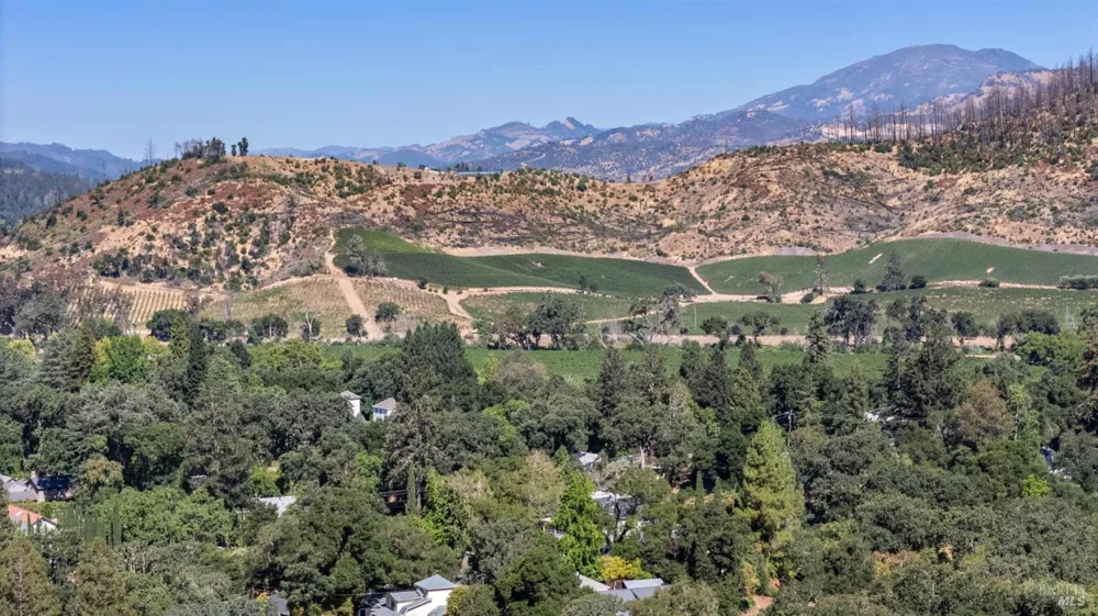 509 Canon Park Drive St. Helena, CA 94574