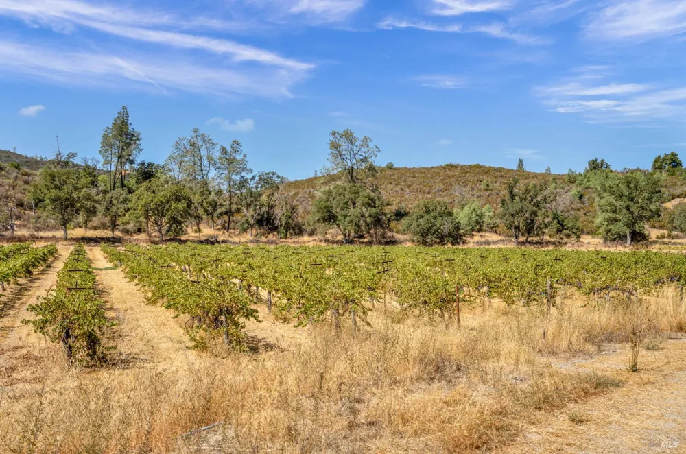 500 Old Long Valley Road Clearlake Oaks, CA 95423