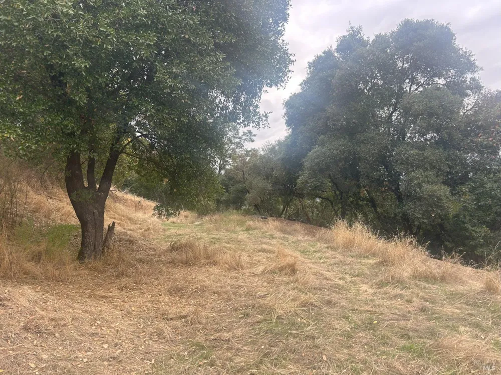 1320 Sanford Ranch Road Ukiah, CA 95482