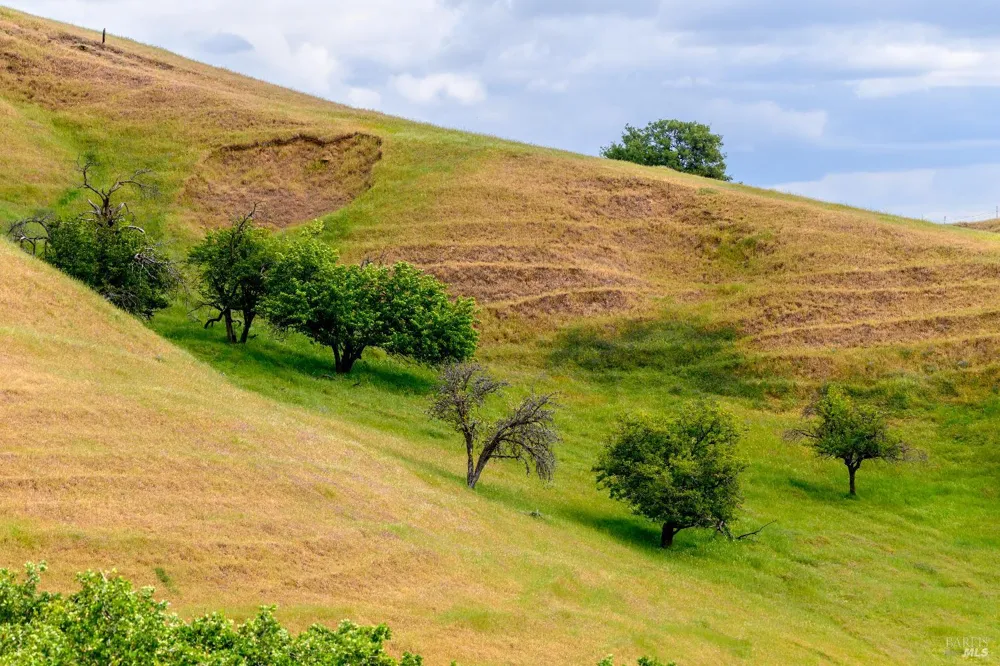 Gibson Canyon Road Vacaville, CA 95688