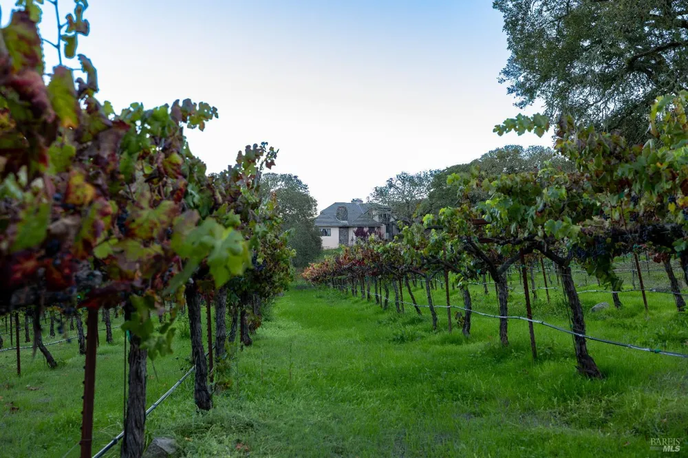 3295 Warm Springs Road Glen Ellen, CA 95442