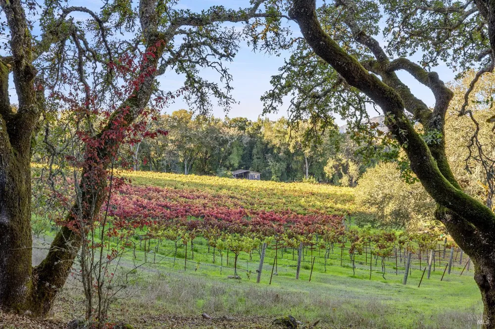 3295 Warm Springs Road Glen Ellen, CA 95442