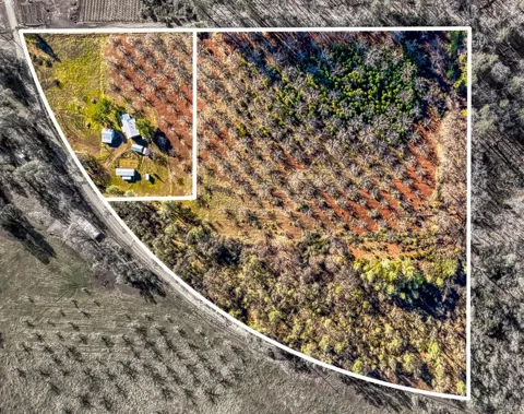 11415 Seigler Springs North Road