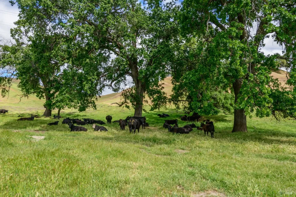 Gibson Canyon Road Vacaville, CA 95688