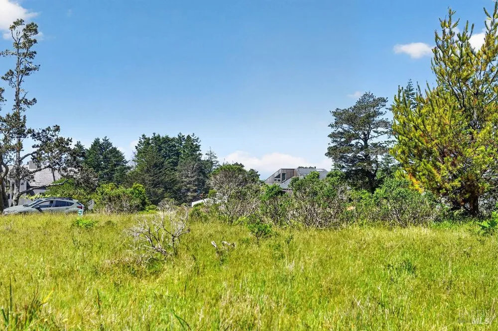 35604 Timber Ridge Road The Sea Ranch, CA 95497