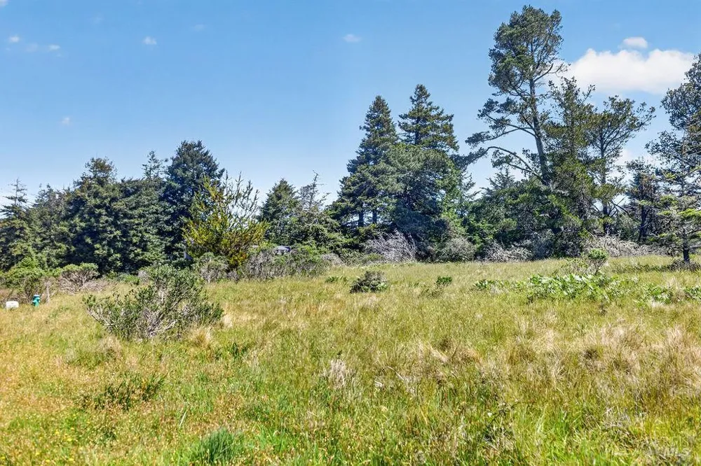 35604 Timber Ridge Road The Sea Ranch, CA 95497