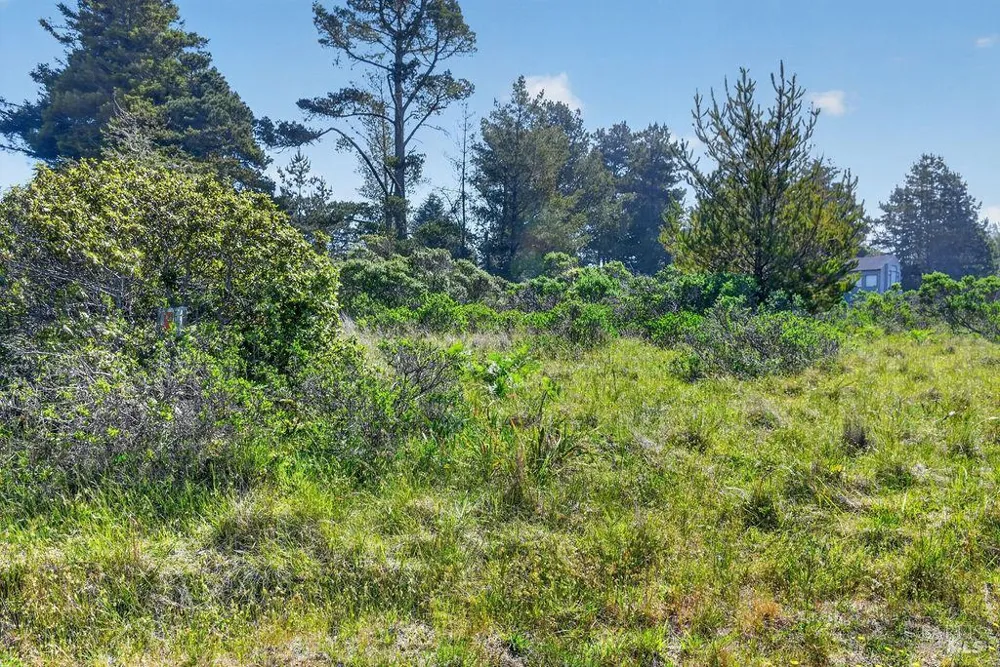 35604 Timber Ridge Road The Sea Ranch, CA 95497