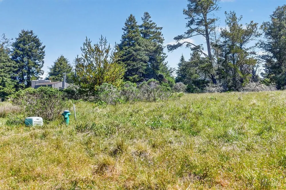 35604 Timber Ridge Road The Sea Ranch, CA 95497