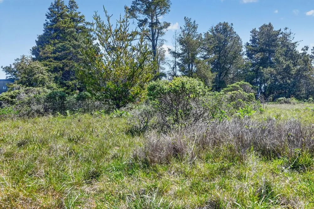 35604 Timber Ridge Road The Sea Ranch, CA 95497