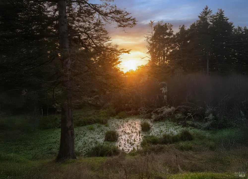 36029 Timber Ridge Road The Sea Ranch, CA 95497