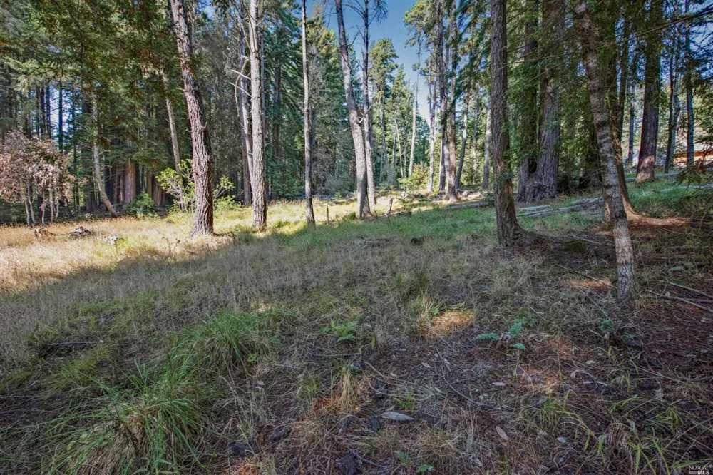 22103 Umland Circle Jenner, CA 95450