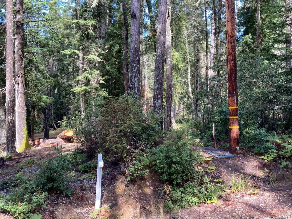 22103 Umland Circle Jenner, CA 95450