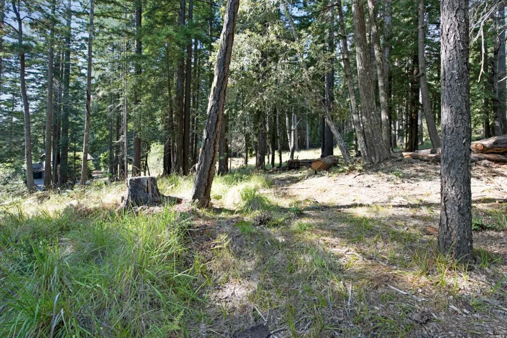 22103 Umland Circle Jenner, CA 95450