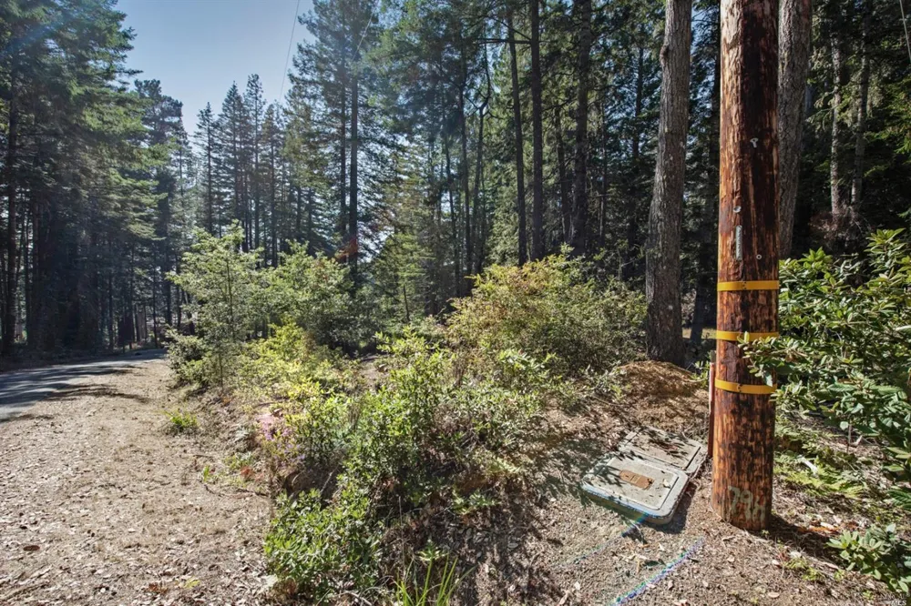 22103 Umland Circle Jenner, CA 95450