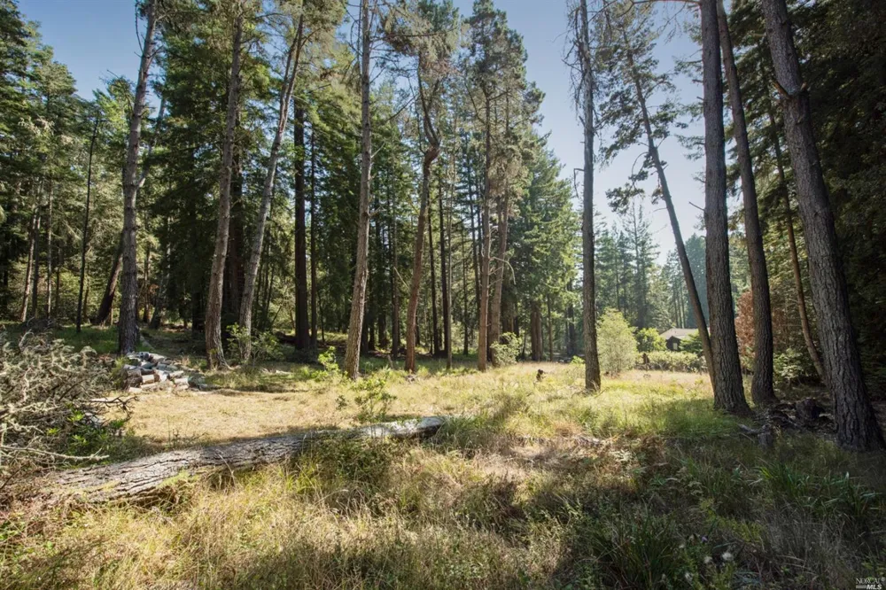 22103 Umland Circle Jenner, CA 95450