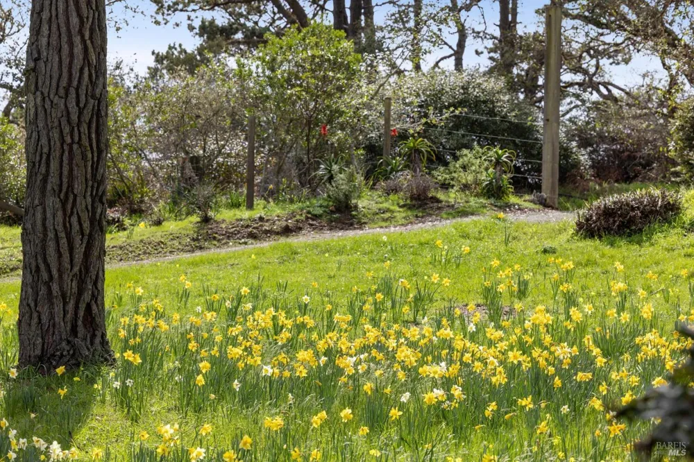 1208 Pierce Point Road Inverness, CA 94937