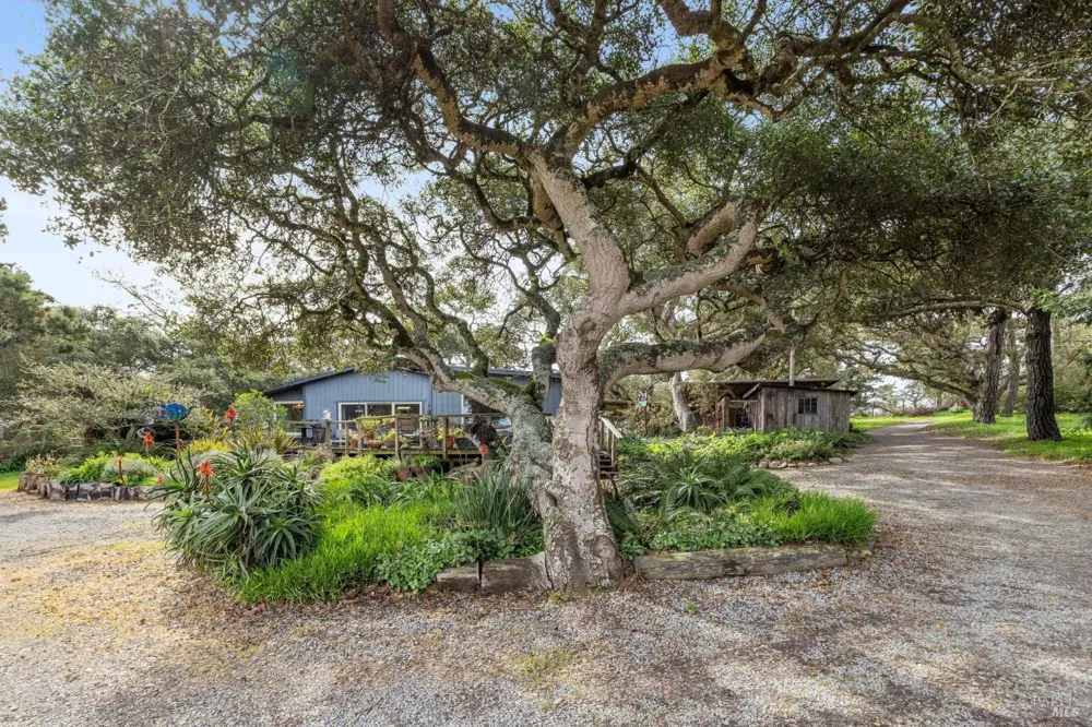 1208 Pierce Point Road Inverness, CA 94937