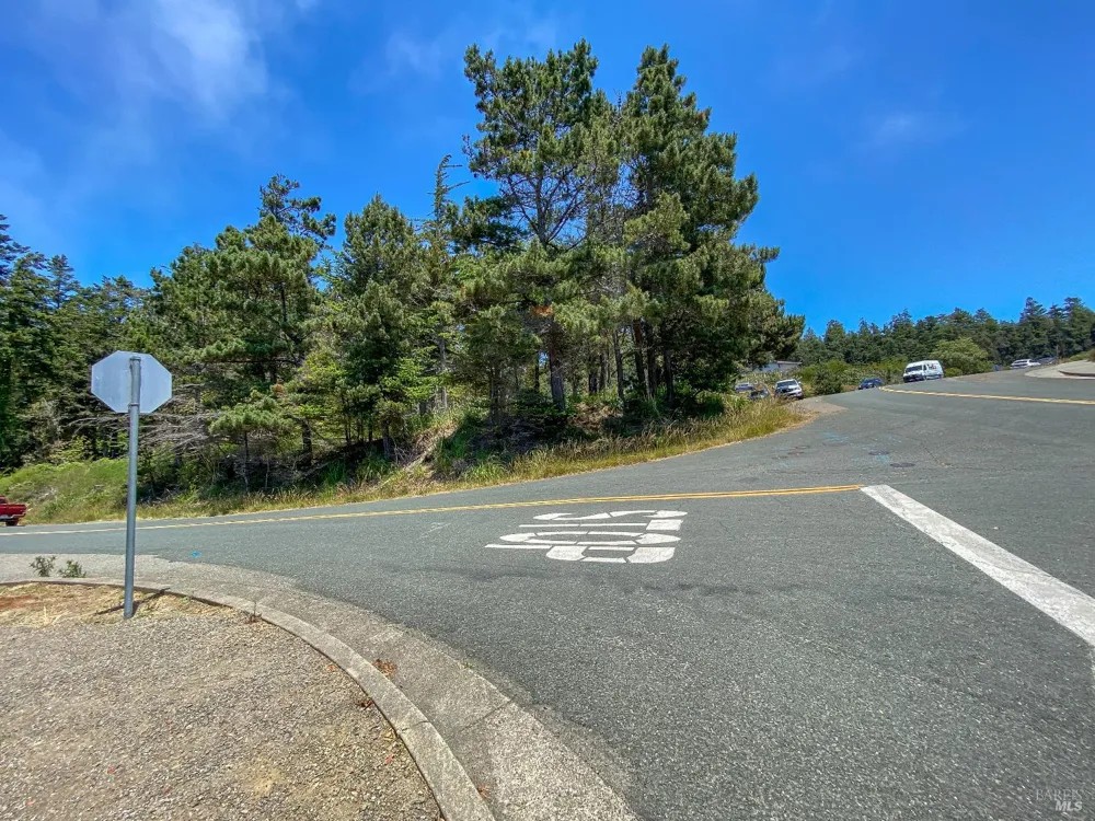 39001 Cypress Way Gualala, CA 95445