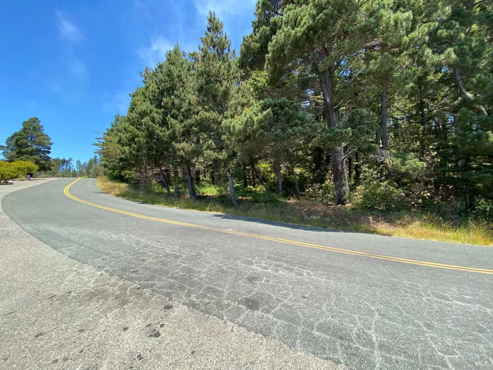 39001 Cypress Way Gualala, CA 95445