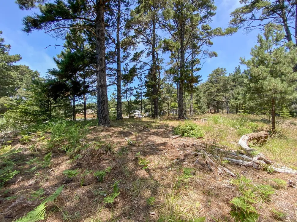 39001 Cypress Way Gualala, CA 95445