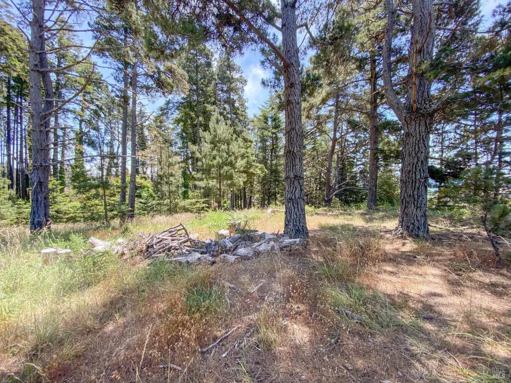 39001 Cypress Way Gualala, CA 95445