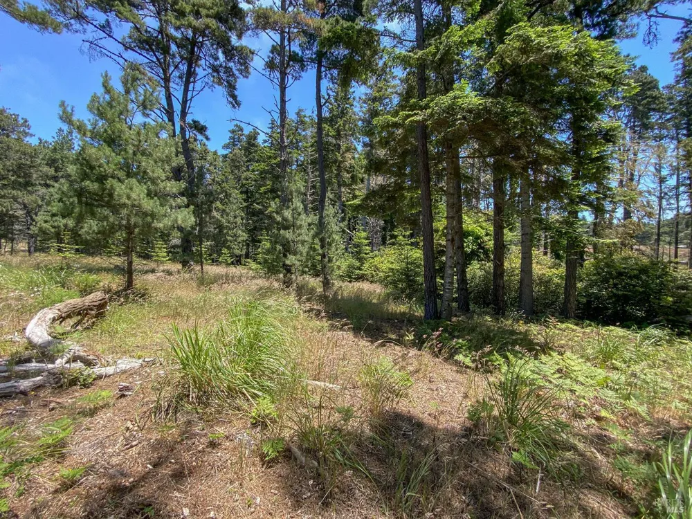 39001 Cypress Way Gualala, CA 95445