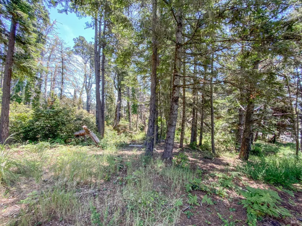 39001 Cypress Way Gualala, CA 95445