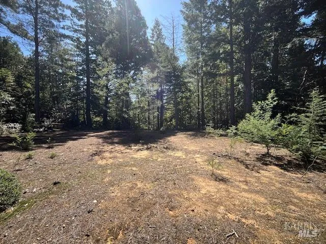 46109 Fish Rock Road Gualala, CA 95445