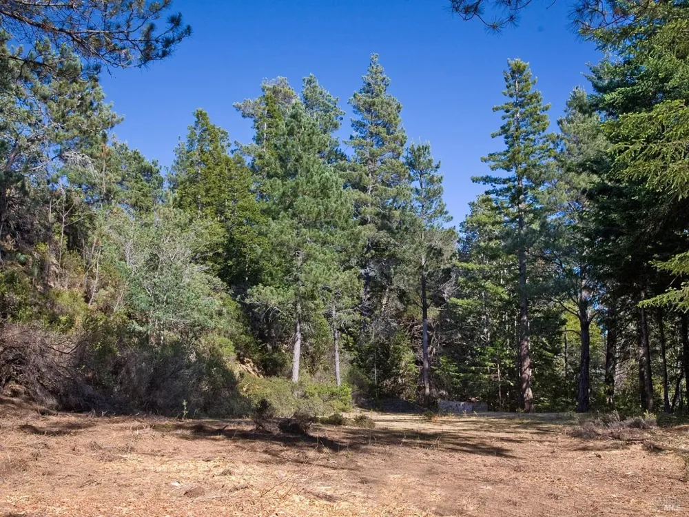 46109 Fish Rock Road Gualala, CA 95445