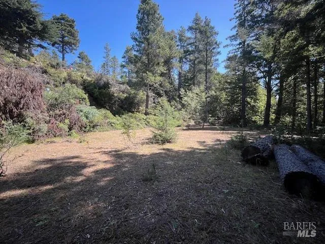 46109 Fish Rock Road Gualala, CA 95445