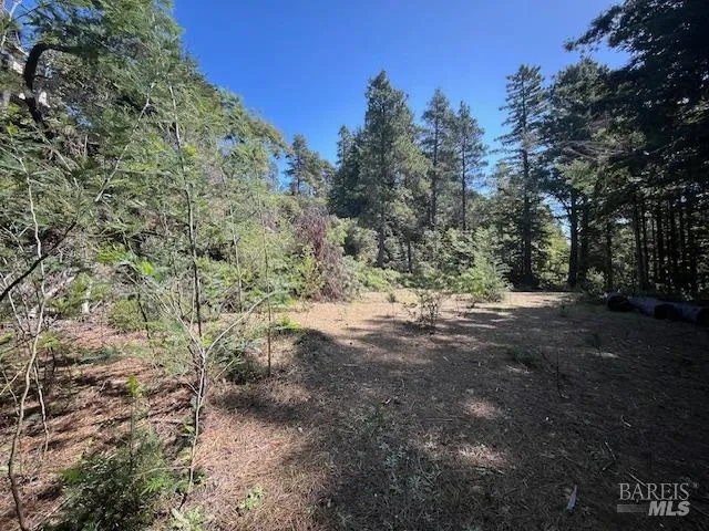 46109 Fish Rock Road Gualala, CA 95445