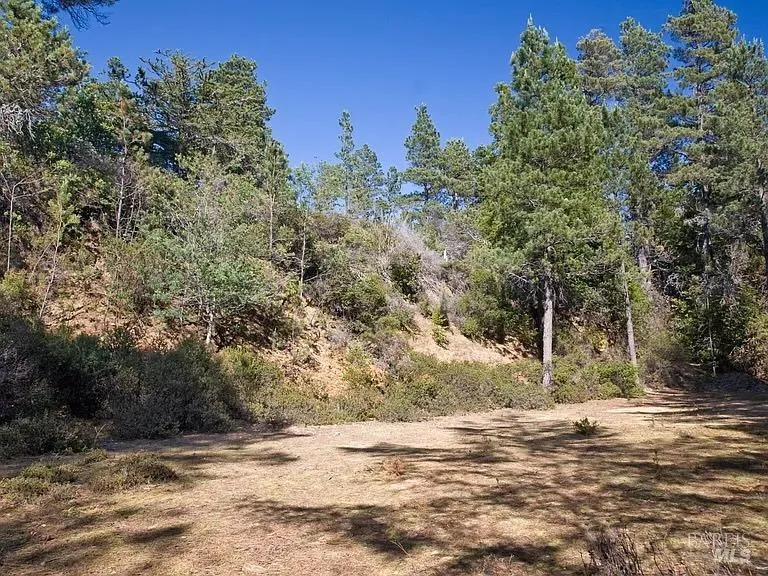 46109 Fish Rock Road Gualala, CA 95445
