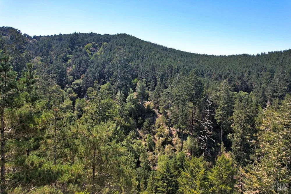 W Robert Drive Inverness, CA 94937