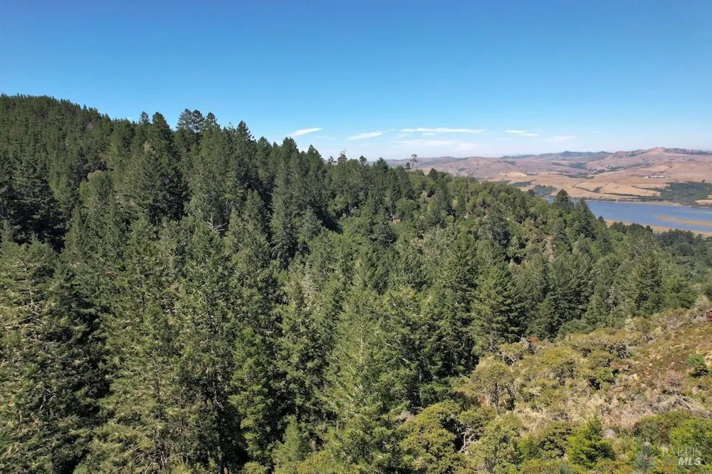 W Robert Drive Inverness, CA 94937