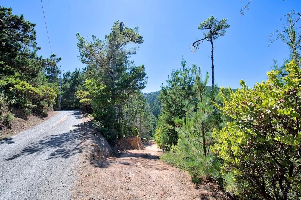 W Robert Drive Inverness, CA 94937