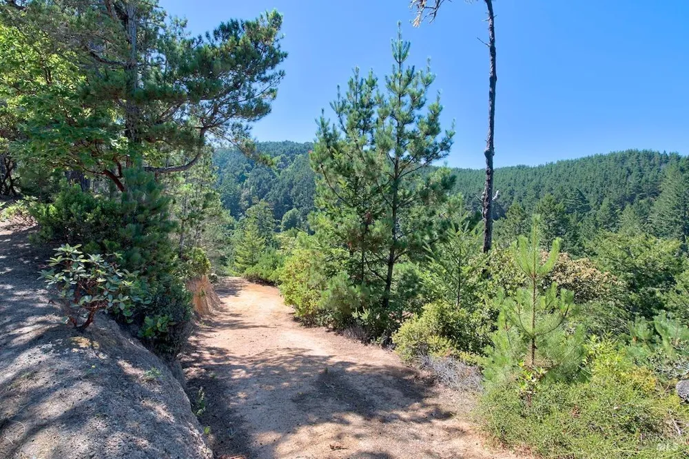 W Robert Drive Inverness, CA 94937