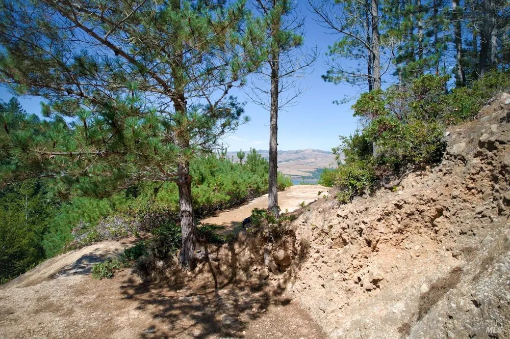 W Robert Drive Inverness, CA 94937
