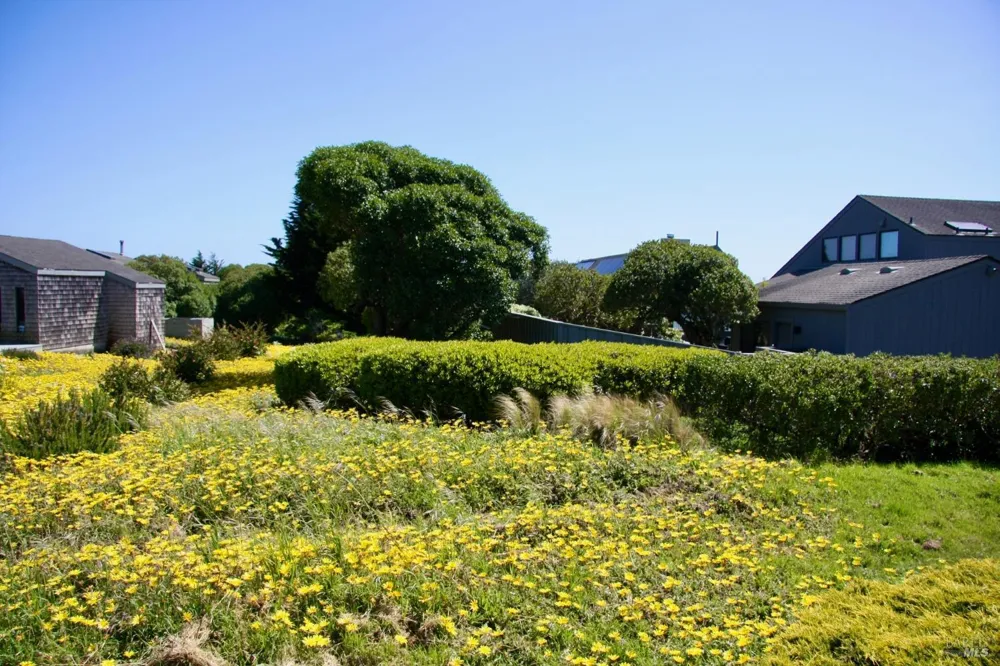 1968 Sea Way Bodega Bay, CA 94923