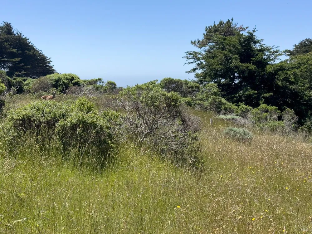 42320 Forecastle Street ##35E-2 The Sea Ranch, CA 95497