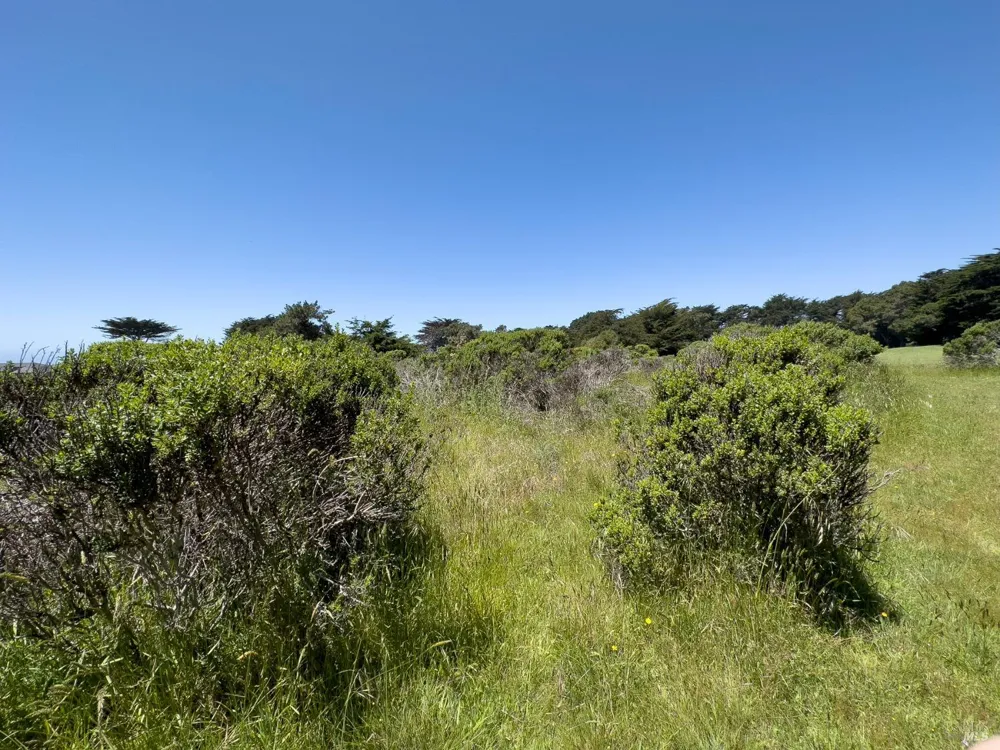 42320 Forecastle Street ##35E-2 The Sea Ranch, CA 95497