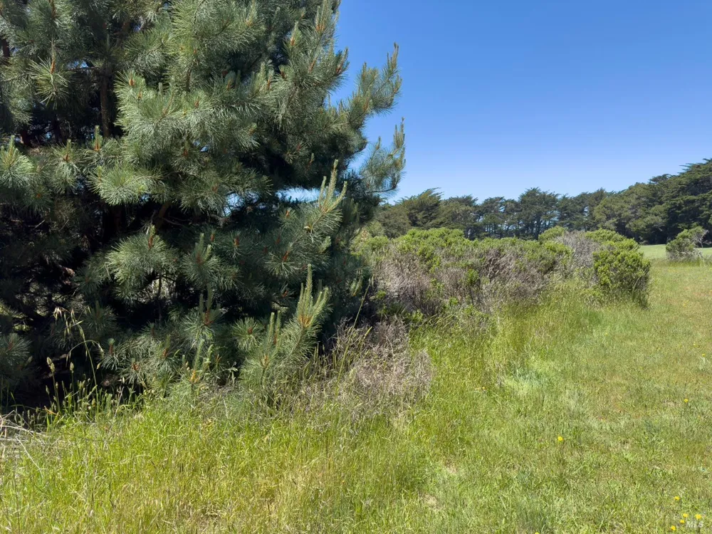 42320 Forecastle Street ##35E-2 The Sea Ranch, CA 95497